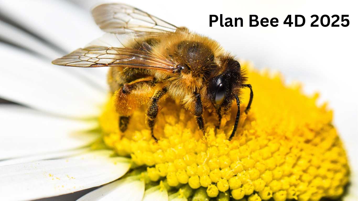 The randomness of nature can be slightly managed by Plan Bee 4D, which is becoming a well-known technique