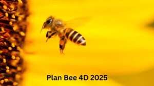 Menggunakan Plan Bee 4D sangat mudah dan membolehkan anda menghasilkan ramalan nombor 4D