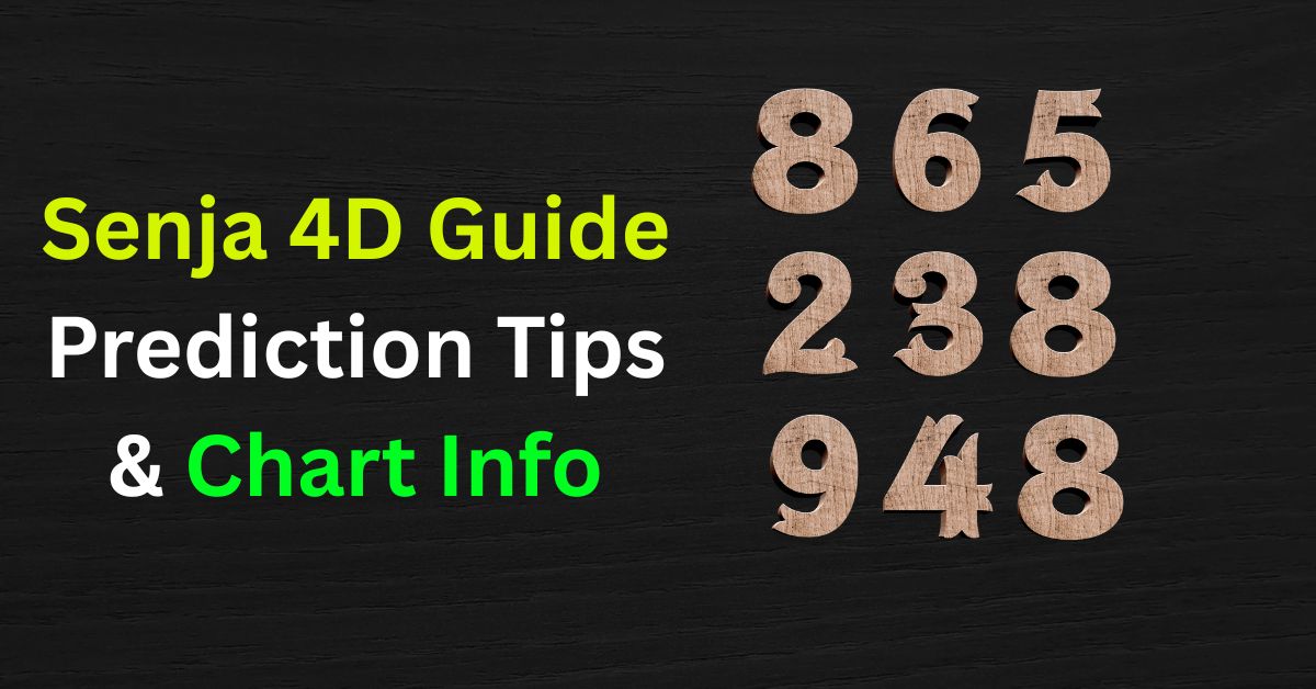 In the realm of number-based gaming, Senja 4D is well-known among lovers of 4D lottery programs.
